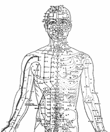 5b-acupunture.gif